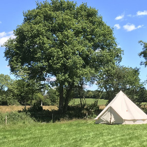 brookshill-farm-bell-tent-glamping-2.jpeg