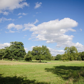 brookshillfarm-farm-land.jpeg