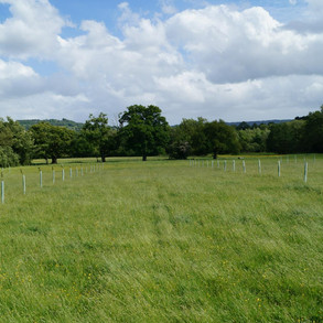 brookshill-farm-wild-camping-1.jpeg