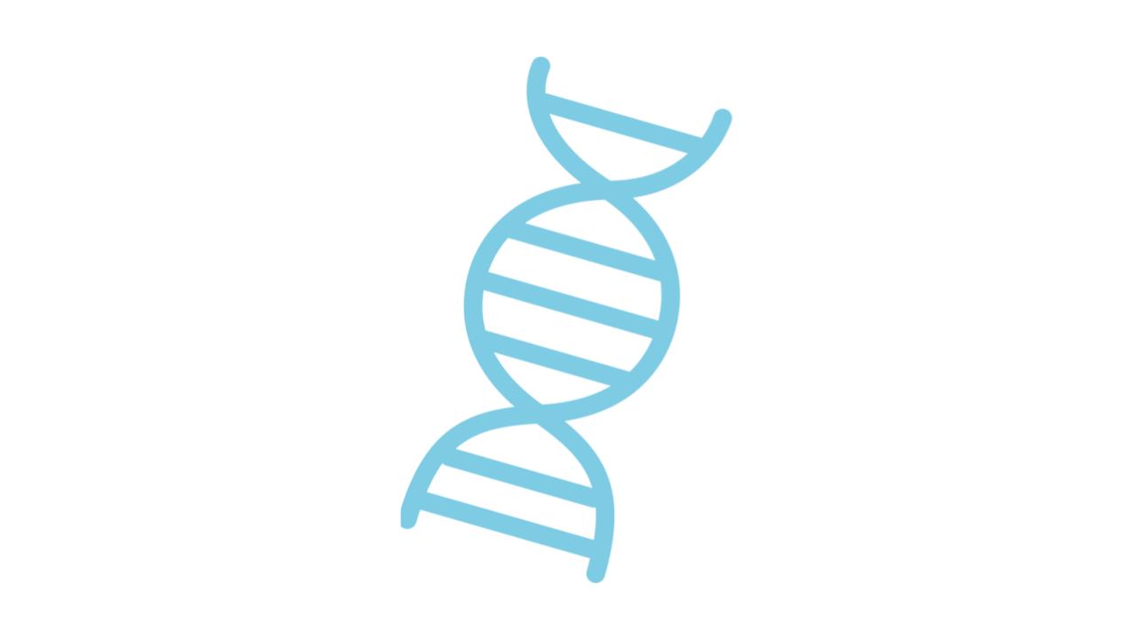 YourGENETIC - YourGenes