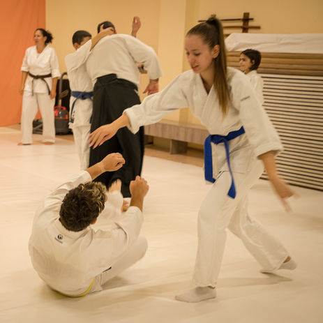 aikido training