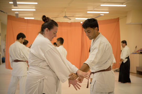 aikido beginners