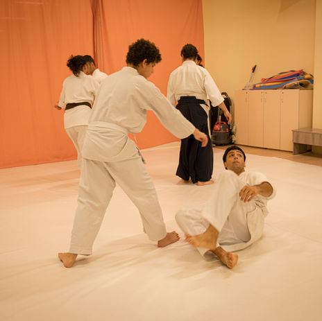 aikido fall