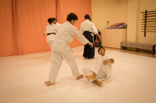 aikido fall