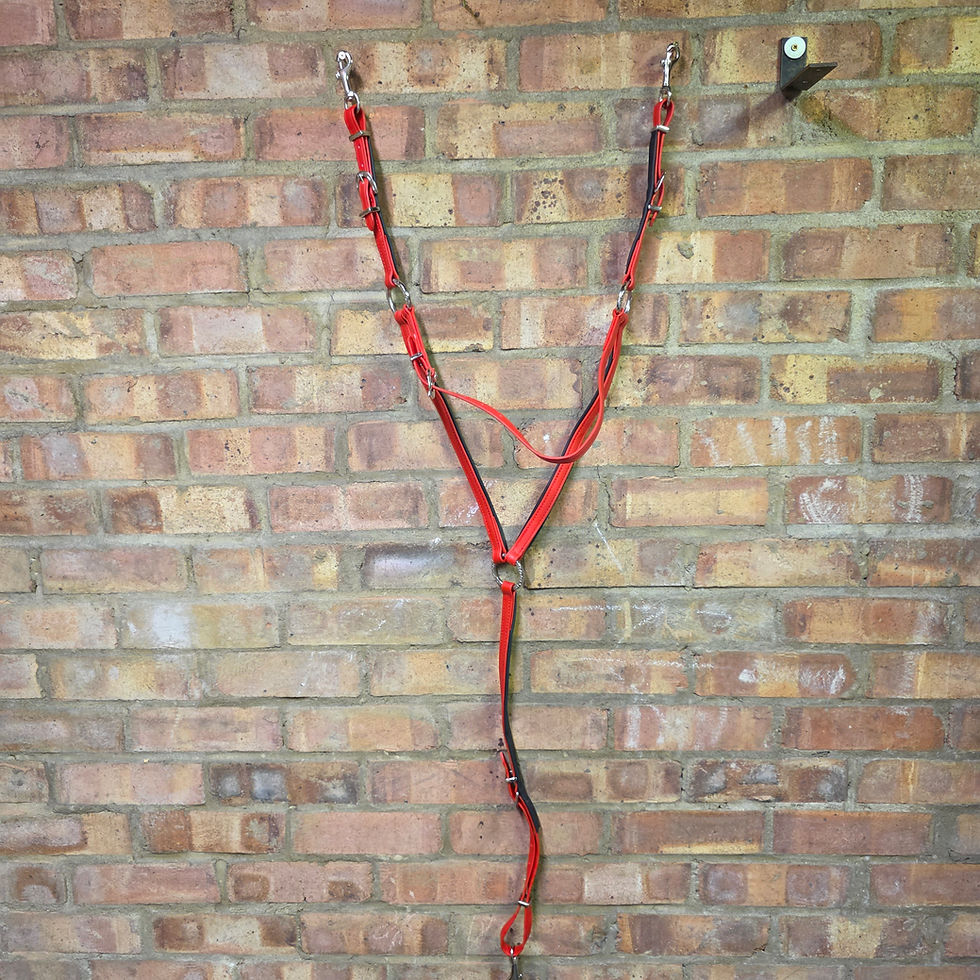 Thumbnail: QUICK HITCH BIOTHANE HORSE DRIVING HARNESS RED & BLACK COLOUR COMBINATIONCOLOR
