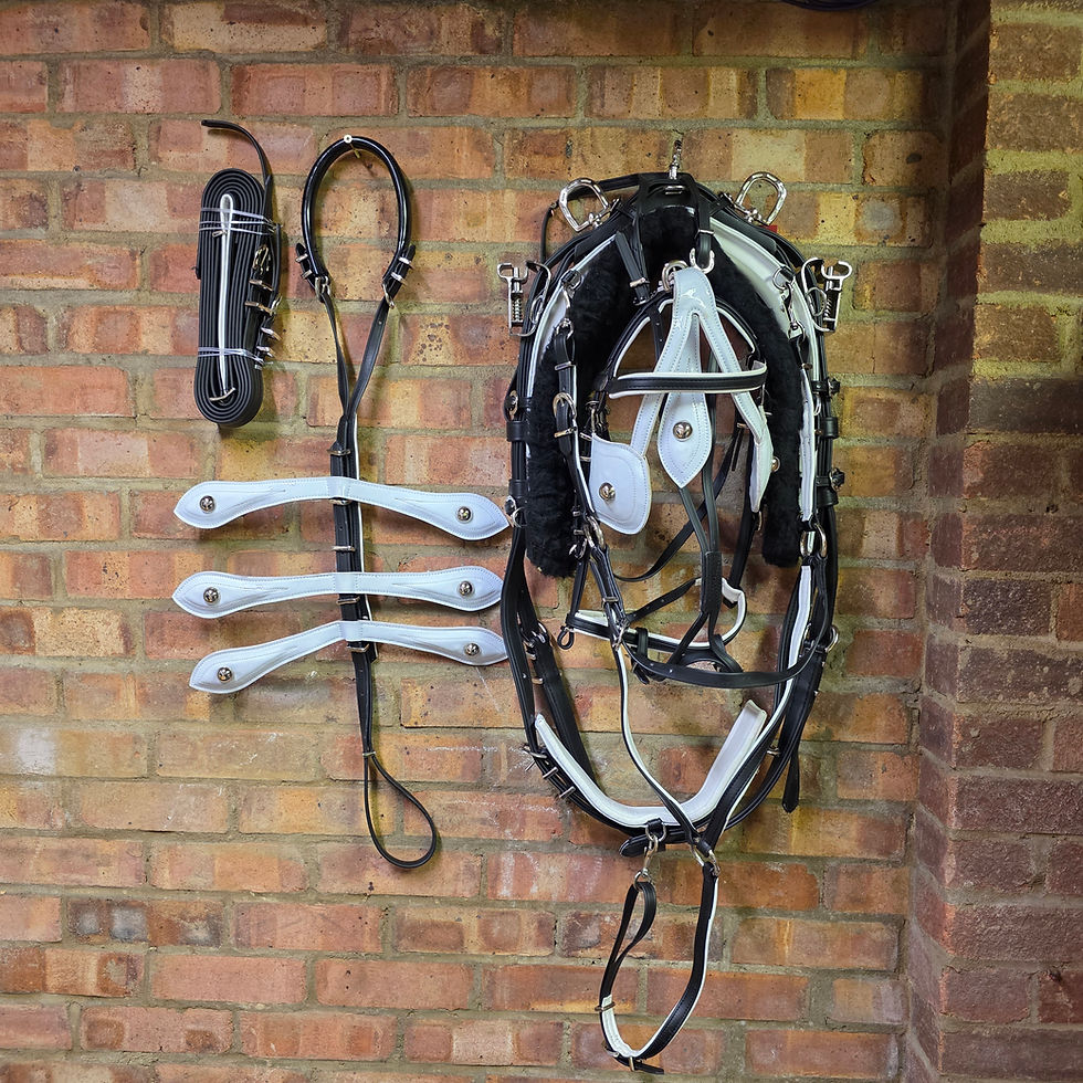 Miniature : QUICK HITCH BIOTHANE HORSE DRIVING HARNESS BLACK & WHITE COLOUR COMBINATION