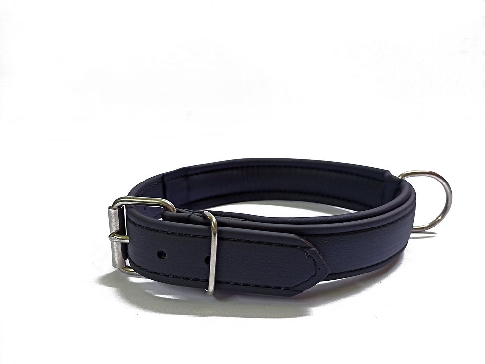 Thumbnail: BIOTHANE DOG COLLAR (LEATHER SUBSTITUTE), FULLY PADDED, 6 COLOR CHOICES