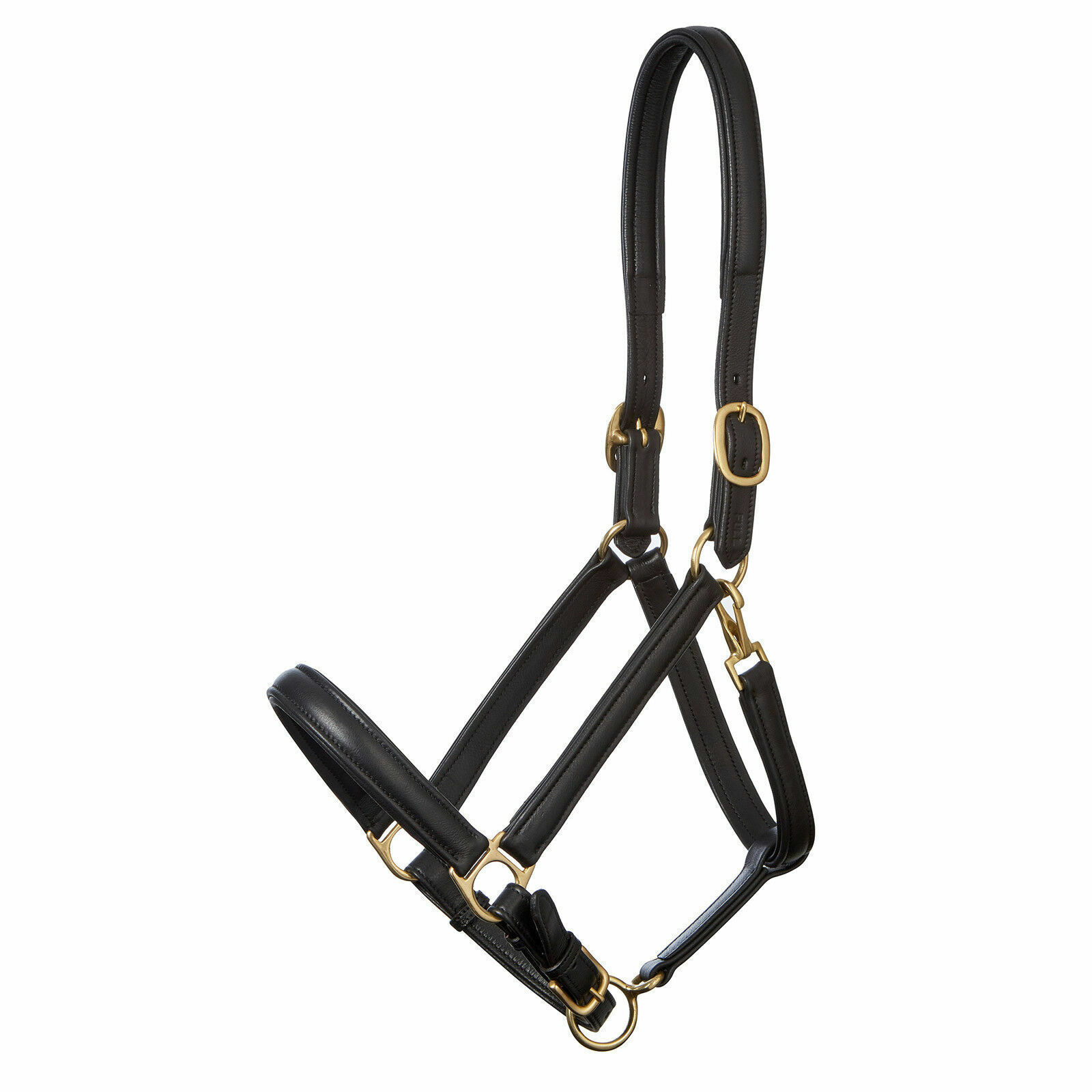 LEATHER HEAD COLLAR FULLY RAISED & PADDED, BLACK & BROWN COLOR