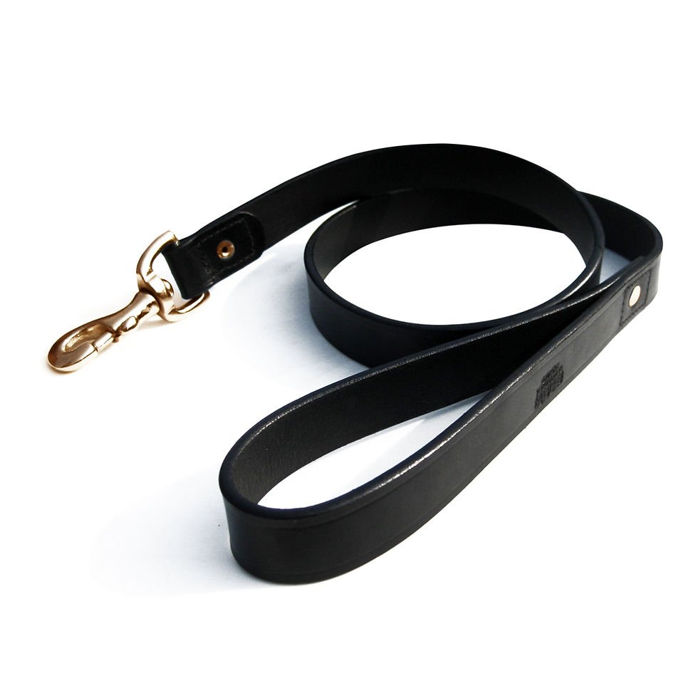 Thumbnail: LEATHER DOG LEAD WITH BRASS TRIGGER HOOK