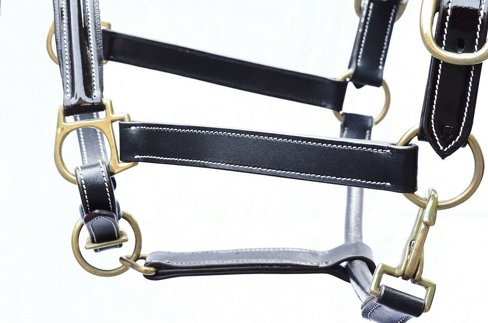 Thumbnail: LEATHER HEAD COLLAR FULLY RAISED & PADDED,BLACK COLOUR WITH FANCY STITCHING
