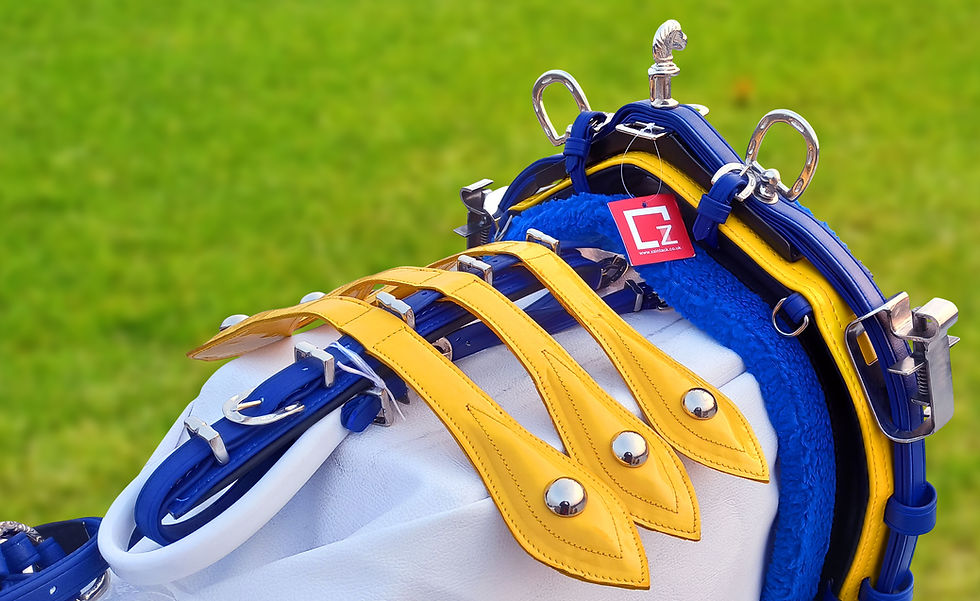 Thumbnail: QUICK HITCH BIOTHANE HORSE DRIVING HARNESS BLUE & YELLOW COLOUR COMBINATION