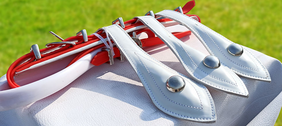 Thumbnail: QUICK HITCH BIOTHANE HORSE DRIVING HARNESS RED & WHITE COLOUR