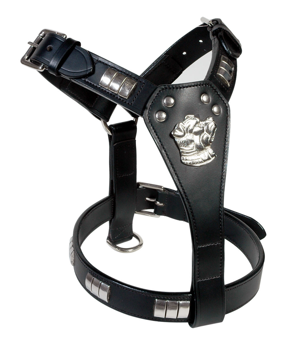 Thumbnail: LEATHER DOG HARNESS (W/O STAFFY KNOT) FULLY PADDED, CHROME FITTED HARDWARE