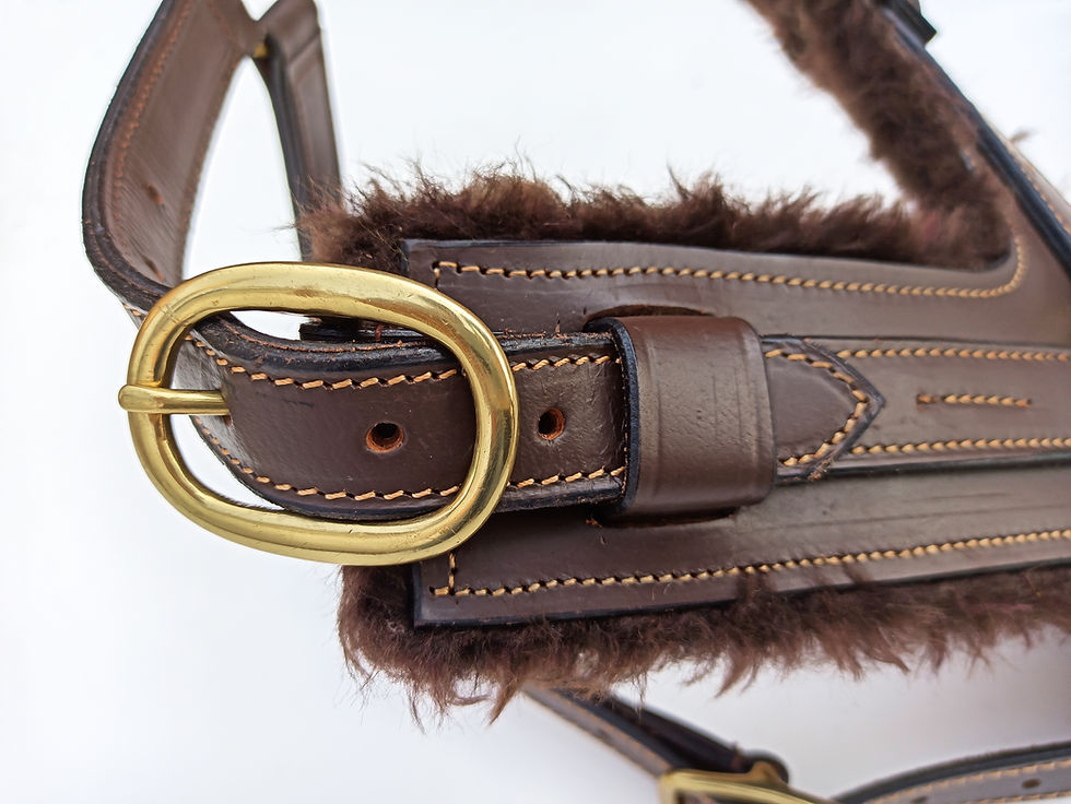 Miniature : LEATHER DOG HARNESS FOR GREAT DANE, BRASS FITTED HARDWARE, BLACK & BROWN COLOUR