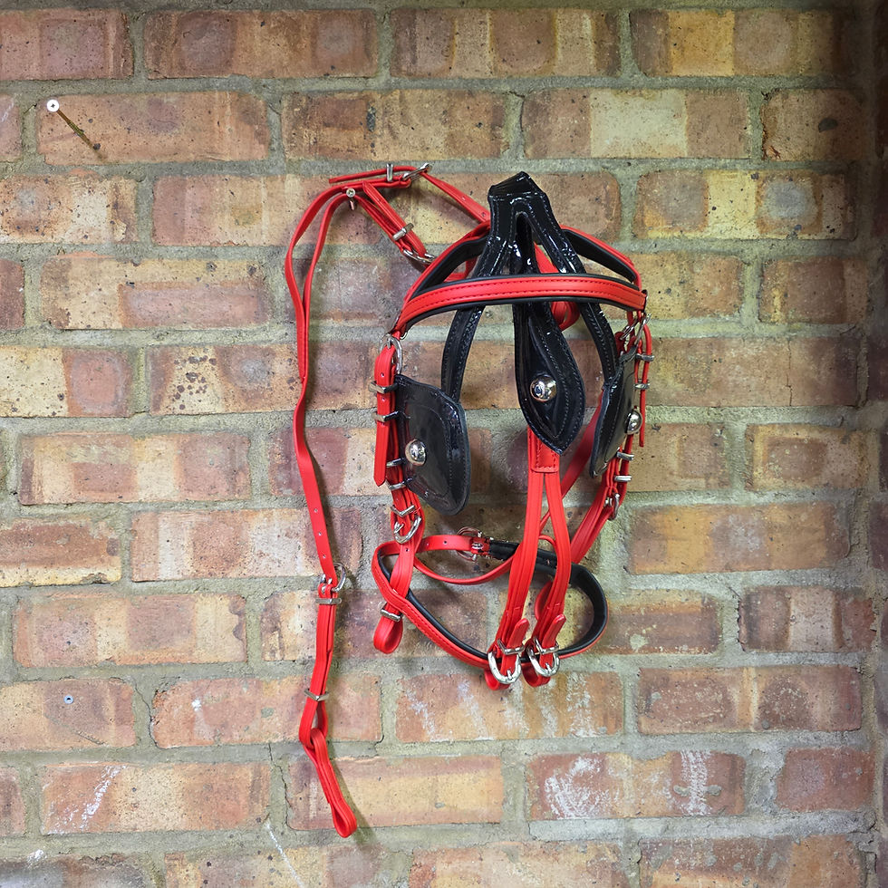 Thumbnail: QUICK HITCH BIOTHANE HORSE DRIVING HARNESS RED & BLACK COLOUR COMBINATIONCOLOR