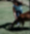 biche