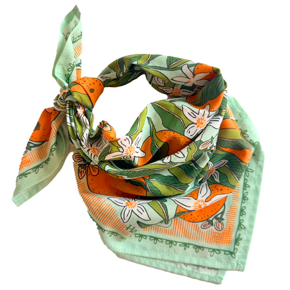 Thumbnail: Handker Bandanas - No. 146 Zoe Bandana