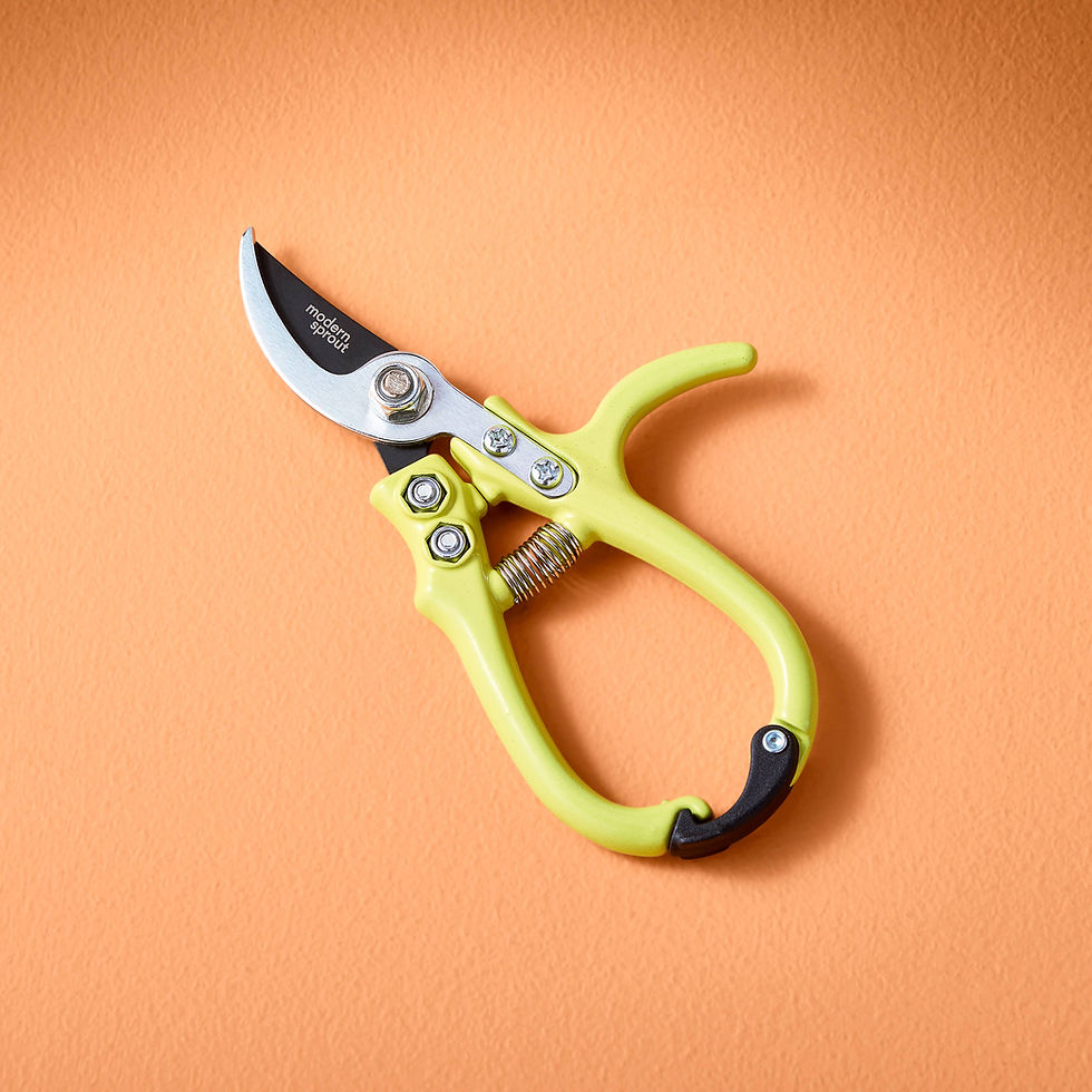 Thumbnail: Modern Sprout - New Colors! Garden Pruners