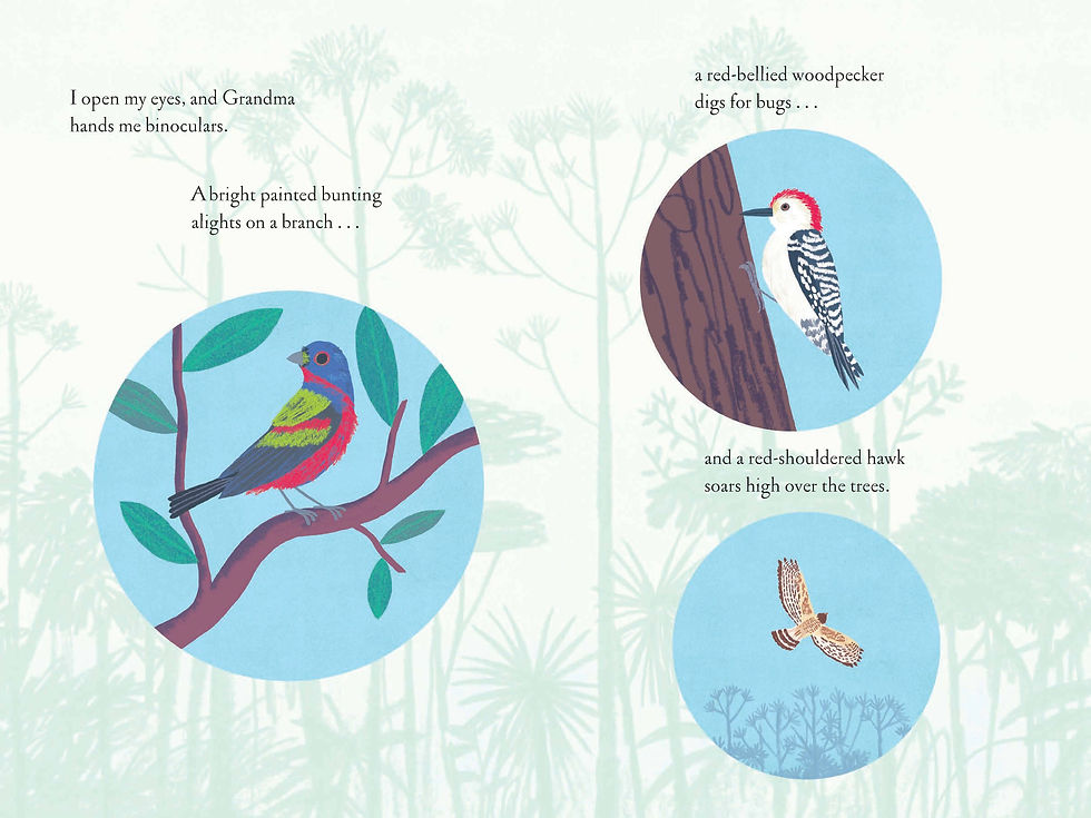 Thumbnail: Chronicle Books - Over and Under the Wetland