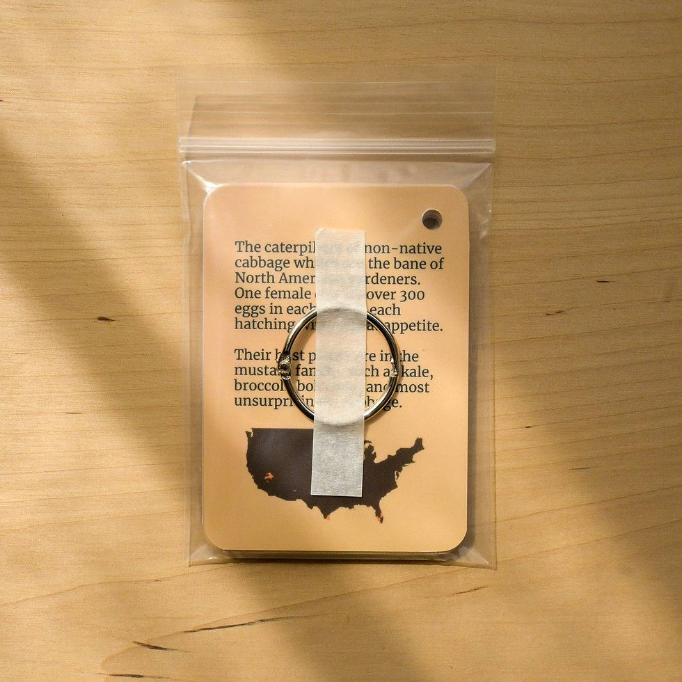 Thumbnail: weneedtogooutside - Butterflies of Eastern USA Field Guide Cards