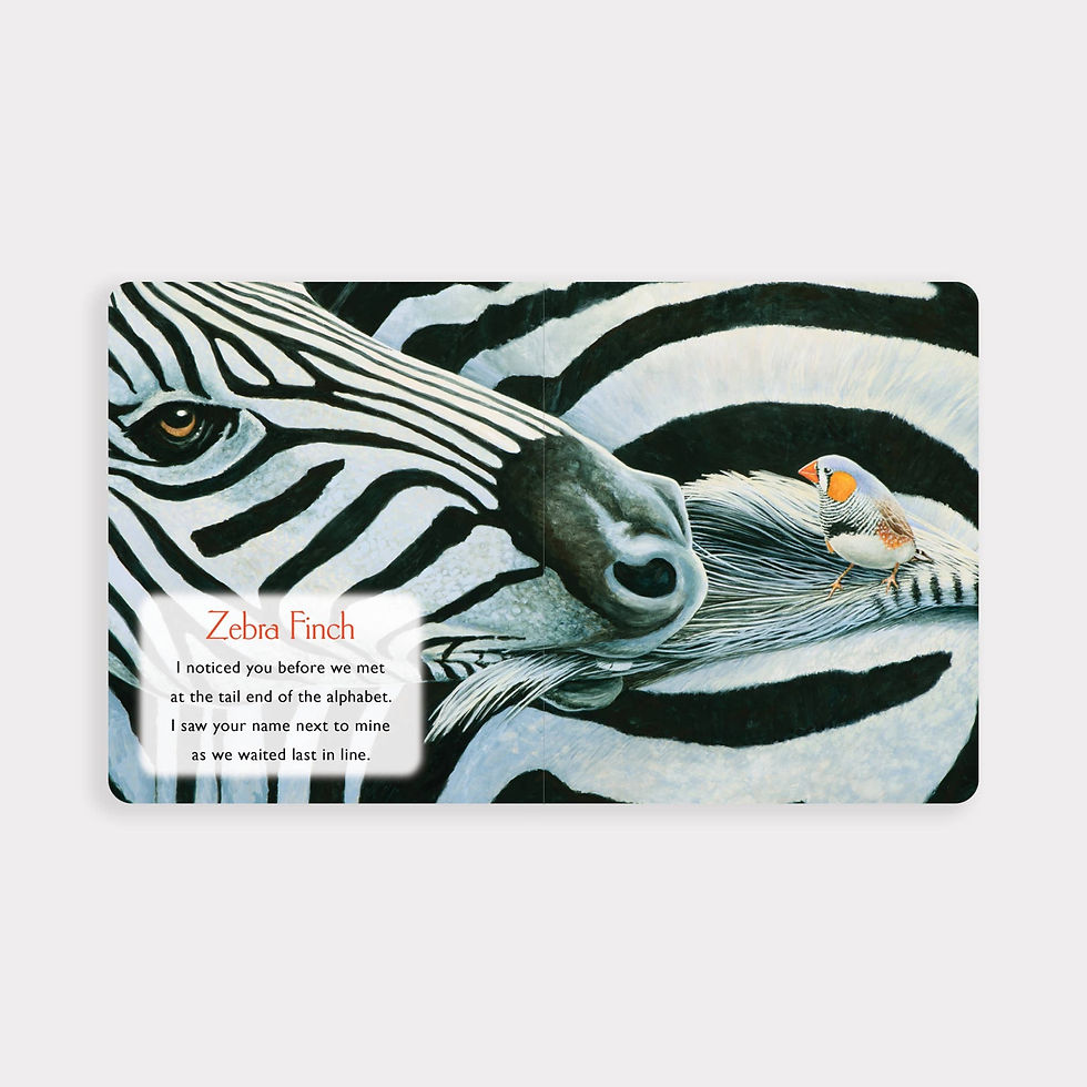 Thumbnail: Blue Star Press - You Stole My Name Board Book (Travel Size)
