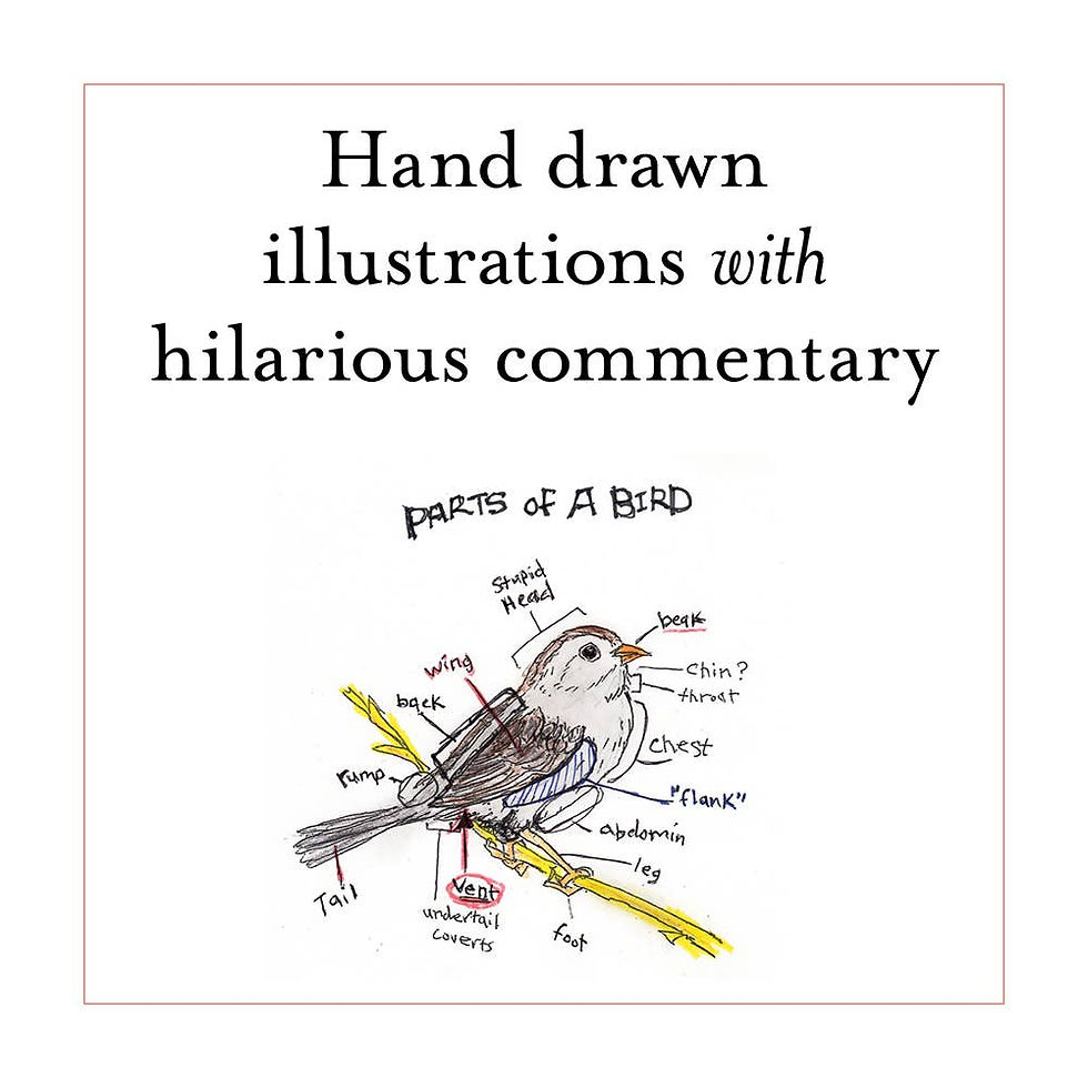 Thumbnail: Chronicle Books - The Field Guide to Dumb Birds of the Whole Stupid World