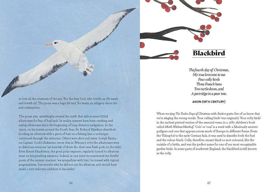 Thumbnail: Chronicle Books - Bird Lore