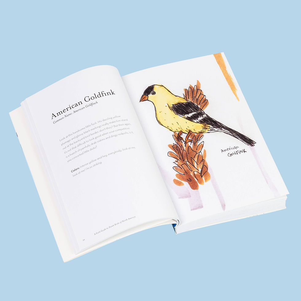 Thumbnail: Chronicle Books - The Field Guide to Dumb Birds of North America