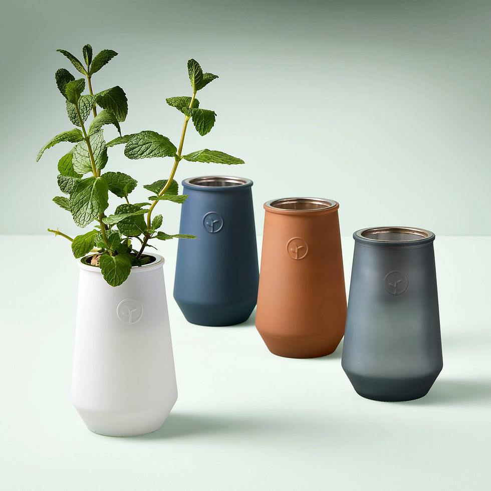 Thumbnail: Modern Sprout - Tapered Tumbler
