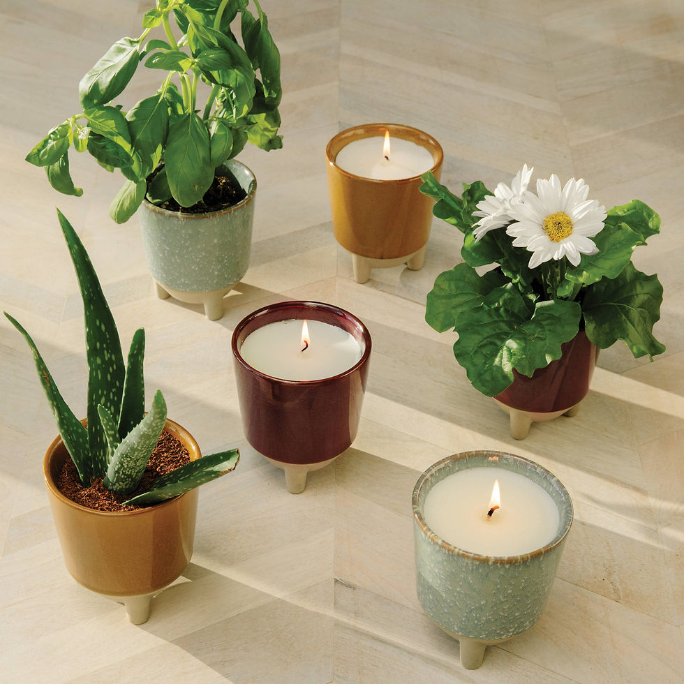 Thumbnail: Modern Sprout - Glow & Grow 2-in-1 Candle + Grow Kit