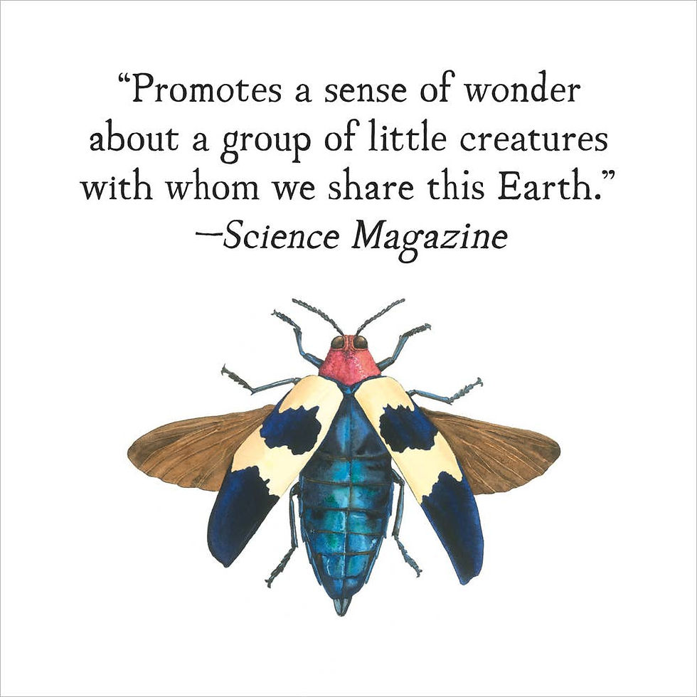 Thumbnail: Chronicle Books - A Beetle Is Shy