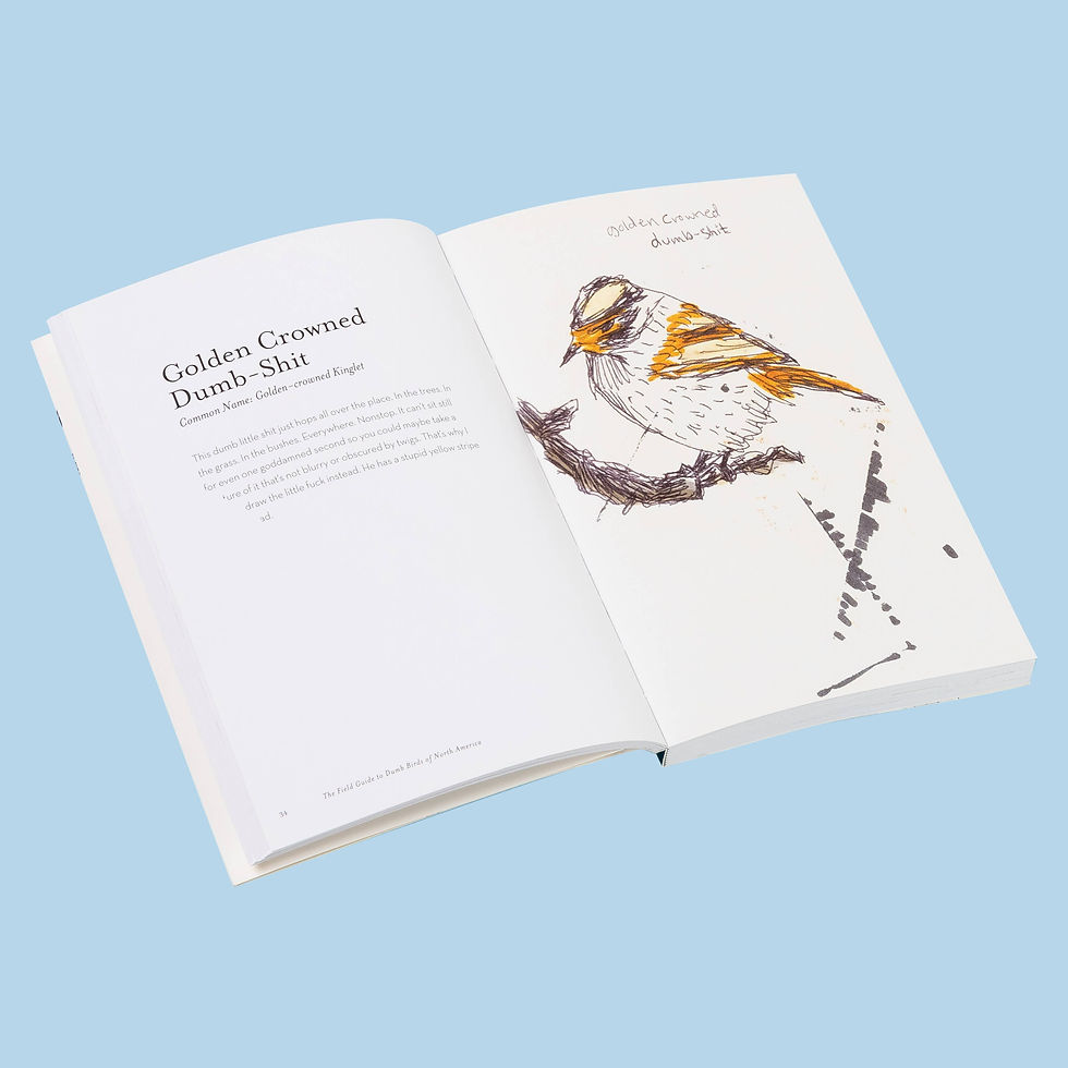 Thumbnail: Chronicle Books - The Field Guide to Dumb Birds of North America
