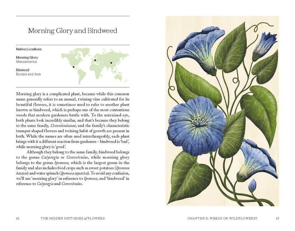 Thumbnail: Chronicle Books - The Hidden Histories of Flowers