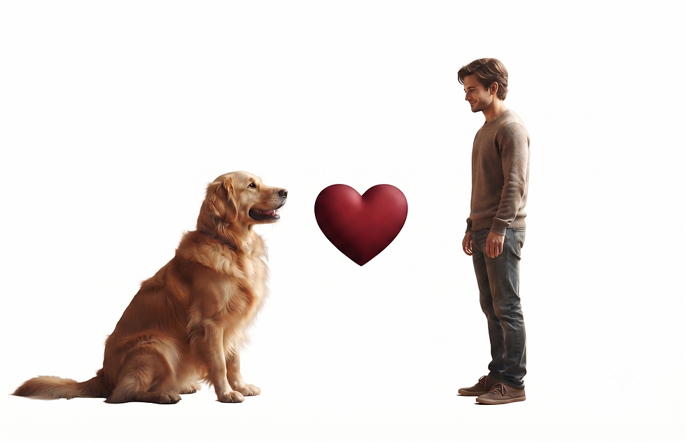 Gemini_amor perruno.png