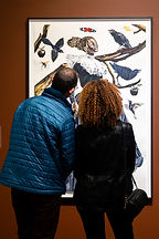 03122026_Bechtler_McGee_Opening_26.JPG