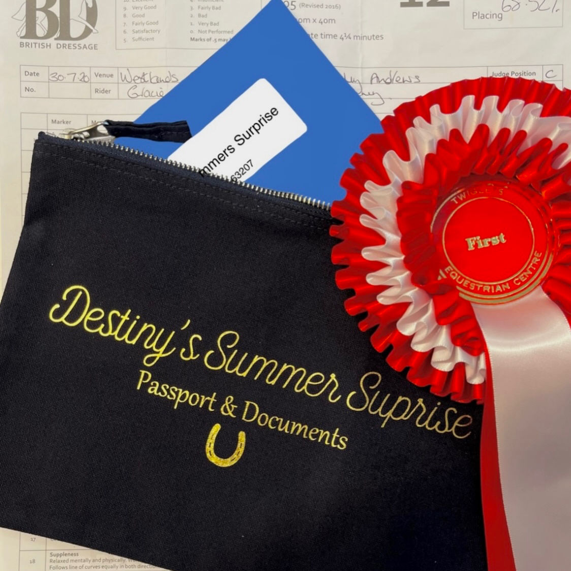 Horse Passport & Document holder