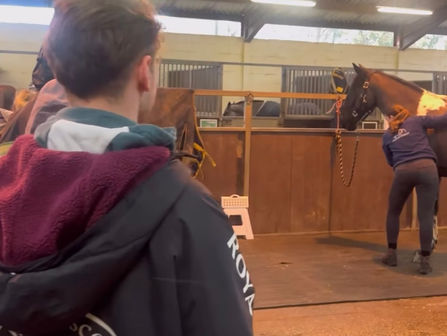 A trip back down memory lane to visit my old equine college...