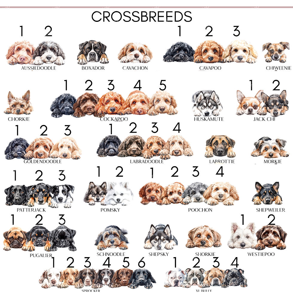 Thumbnail: Dog rosette holder