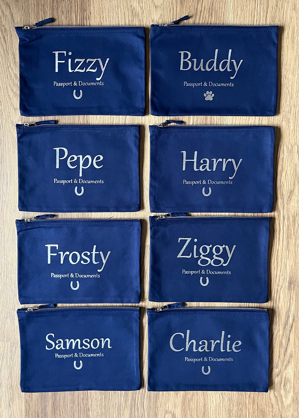 Thumbnail: Horse Passport & Document holder