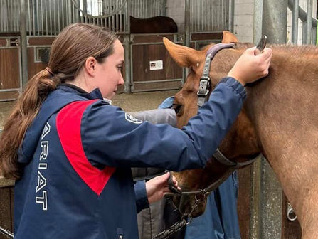 Equine fascial edge tool (CPD)