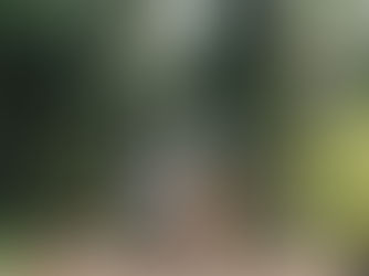 Erin + Hayden | Garfield Park Conservatory Engagement