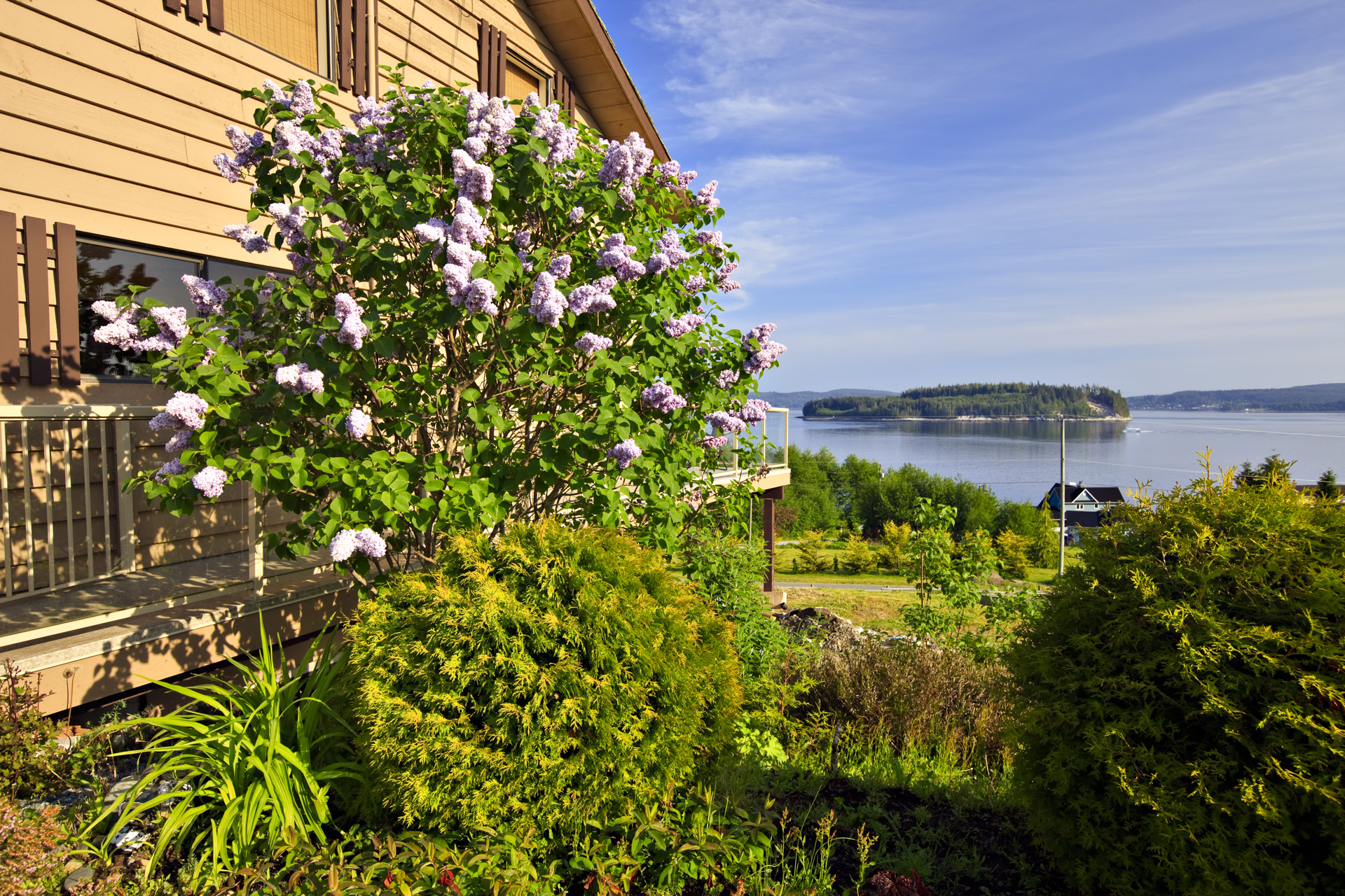 The Artists Point B&B - Bed, Breakfast & Photo Tours Port McNeill