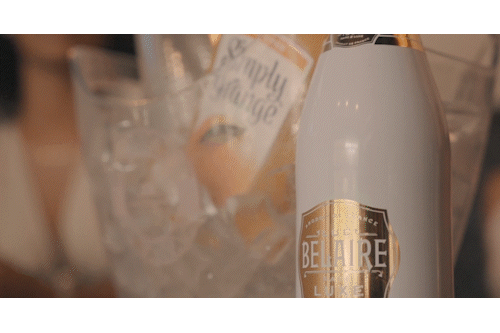BELAIRE PREVIEW.gif