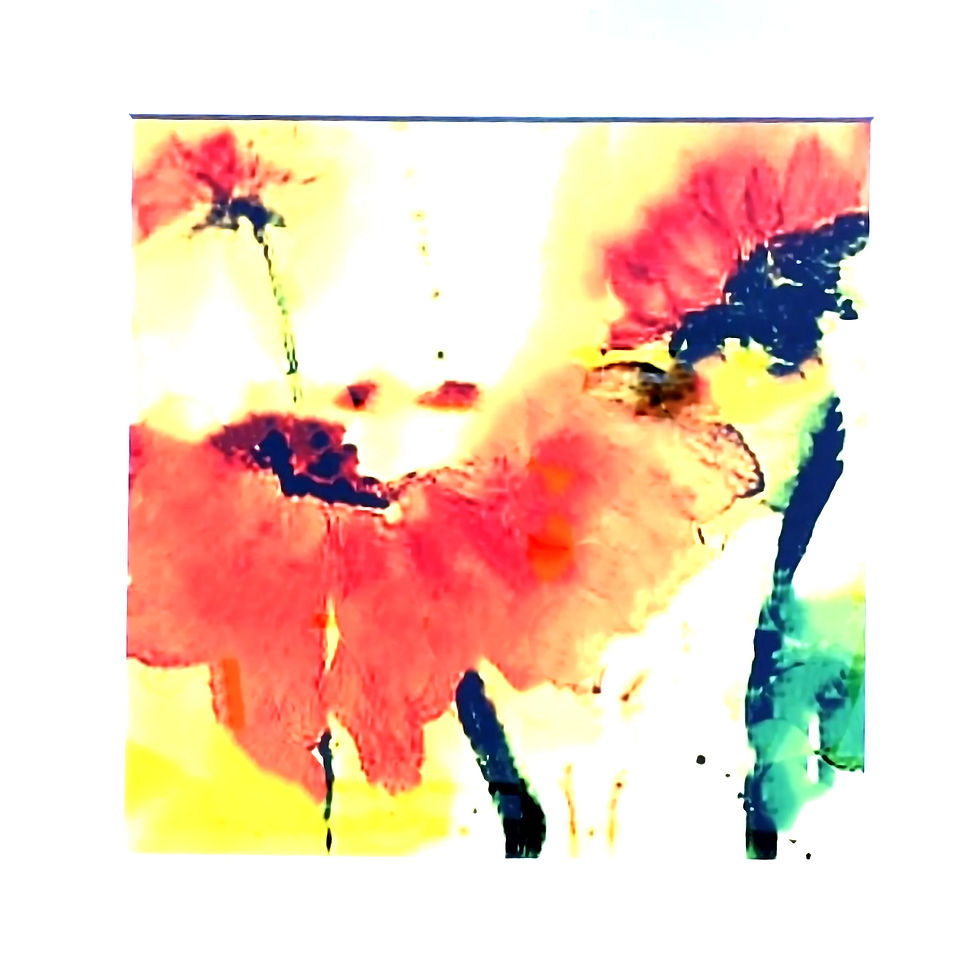 Thumbnail: Photo Panel Light Plate Switch Cover with Orange Flowers