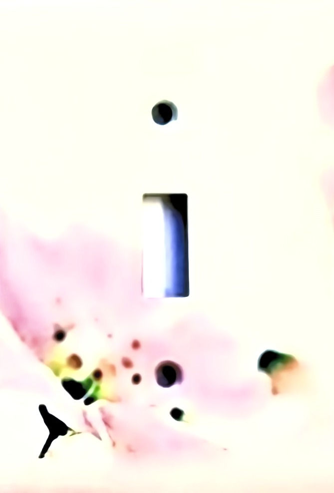 Thumbnail: Light Switch Plate Cover Pink/Brown Flowers Single Plate