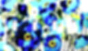 Flowers Blue light cover 3 good one 1_edited_edited.jpg