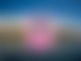 FINAL REPORT OF THE HOUSE OF REPRESENTATIVES LAHAINA WILDFIRE INTERIM WORKING GROUPS PUBLISHED