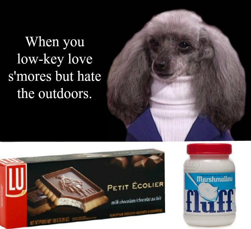 S'mores Meme