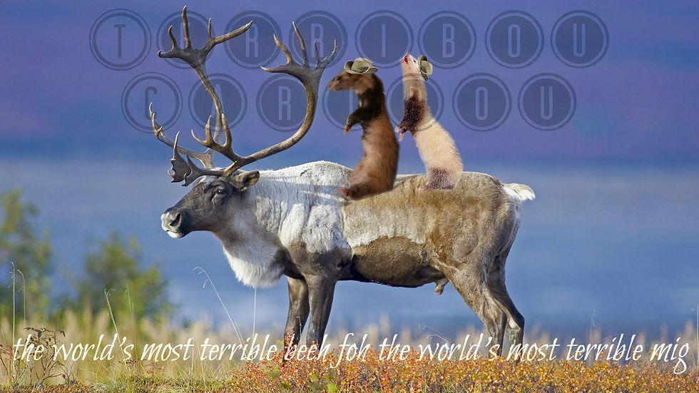 Terribou Caribou
