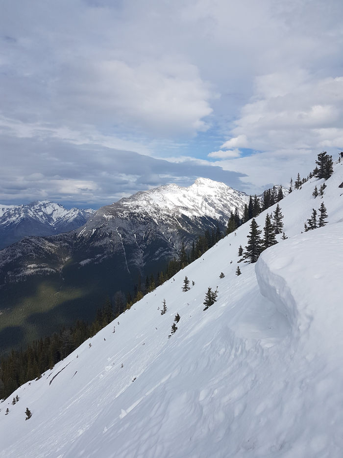 Un dernier aperçu avant de partir...